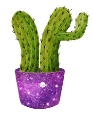 Celestial cactus clip art illustration in flowerpot with stars and cosmos pattern. Bright watercolor succulent isolated on white. Handdrawn prickly green house plant for mystic astrology design.