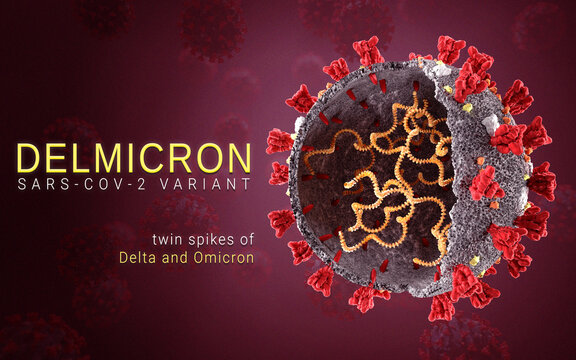 Delmicron coronavirus variant Sars ncov 2 2021 2022. Omicron Strain. delta and omicron mutation. 3D illustration