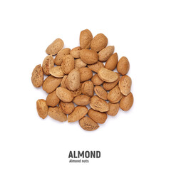 Almond nut with shell isolated on white background