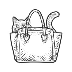 cat in a woman bag sketch engraving raster illustration. T-shirt apparel print design. Scratch board imitation. Black and white hand drawn image.