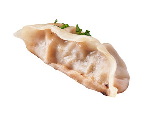  Single delicious chinese gyoza isolated on a white background