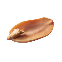  Half peeled peanut isolated on a white background