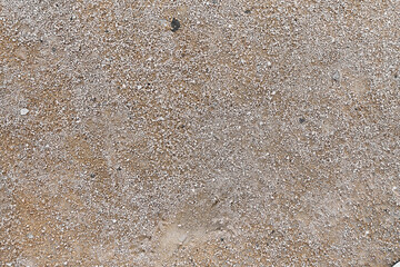  Closeup of arid ground texture