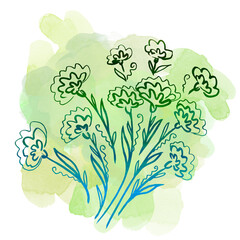 Floral botanical calendula flower on green watercolor splash and blot. Isolated illustration element. Line art hand drawing wildflower on white background for frame or border, backdrop, texture