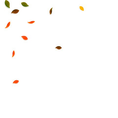 Falling autumn leaves. Red, yellow, green, brown r