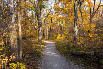 Hiking trail.