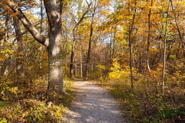 Naklejka premium Hiking trail.