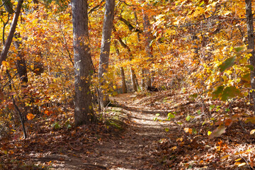 Hiking trail.