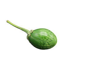 Green eggplant isolated on white background 