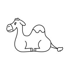 Isolated camel Belen draw manger jesus christmas vector illustration
