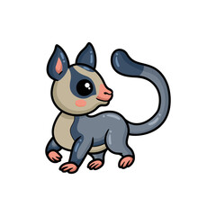 Cute little sugar glider cartoon