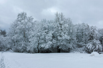 Winter landscape of South Park in city of Sofia, Bulgaria