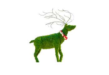 Deer shaped dwarf hedges cut green tree for Christmas decoration isolated on white background.