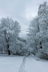 Winter landscape of South Park in city of Sofia, Bulgaria