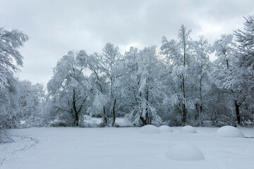 Winter landscape of South Park in city of Sofia, Bulgaria