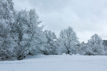 Winter landscape of South Park in city of Sofia, Bulgaria