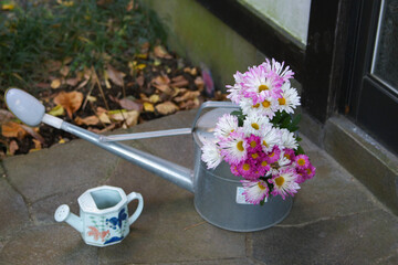 Flowers in the watering can