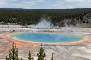 Yellowstone National Park Thermal Pools