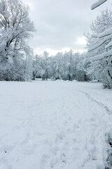 Fototapeta premium Winter landscape of South Park in city of Sofia, Bulgaria