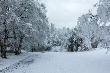 Winter landscape of South Park in city of Sofia, Bulgaria
