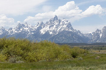 Obraz premium Grand Teton National Park