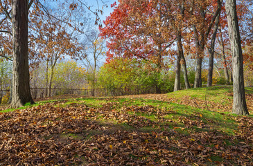 Native American burial mounds.