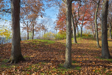 Native American burial mounds.