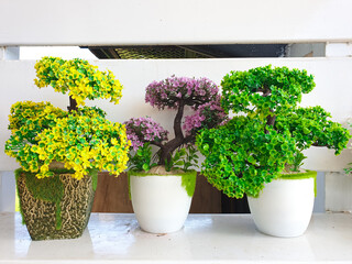 artificial bonsai flowers in pots, home interior and exterior decoration.