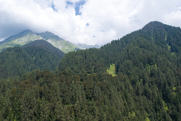 Fototapeta na wymiar Landscape picture of mountains covered with himalayan cedar and fir trees in himachal pradesh, India