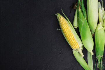 Fresh corn on the cob on a rustic black wooden table with copy space - top view