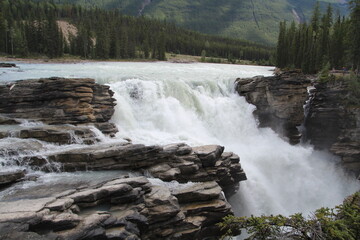 Summer On The Falls,  Jasper National Park, Alberta