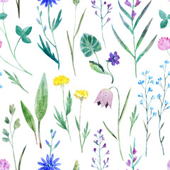 Fototapeta na wymiar Watercolor seamless pattern with wild meadow flowers. Original hand drawn nature print for decor and textile design.