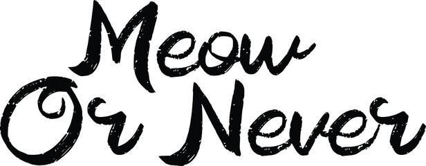 Meow Or Never Cursive Typography Text