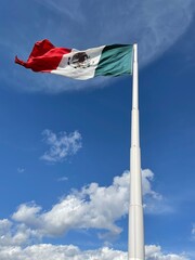 Bandera de México (Perspectiva terrestre)