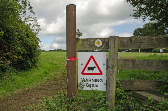 Cattle warning sign on Hampshire footpath