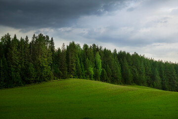 Fototapeta na wymiar green forest and sky