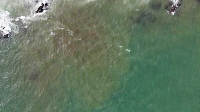 Drone Top View of Sea moving slow to Coastline and revealing Urban Environment. Red River Beach in Salvador of Carnival, state of Bahia Brazil. Sea with waves and rocks.