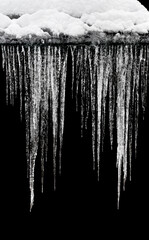 Fototapeta Long icicles on the edge of a snow-covered roof on a winter day on a black background. Transparent clean icicles of a graceful shape. close-up. Thaw after severe Ural frosts (Russia). Icicles texture  obraz