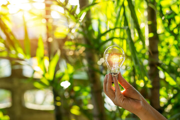 Light bulbs that grow, in the concept of energy in nature.