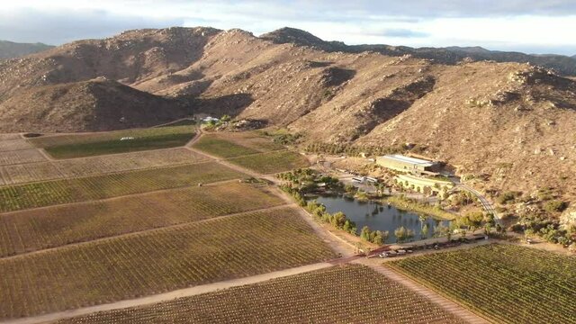 Aerial view of a vineyard with lake in Valle de Guadalupe, Baja California.