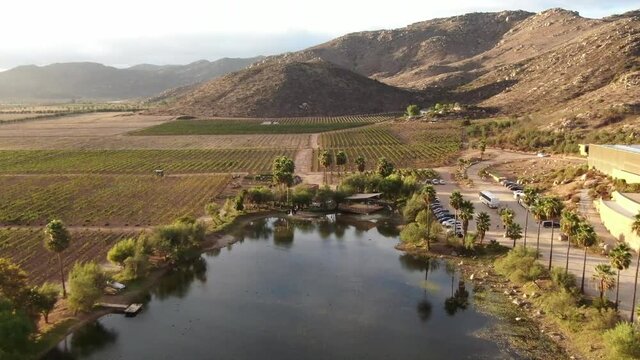 Aerial view of a lake near a vineyard in Baja California, Mexico.