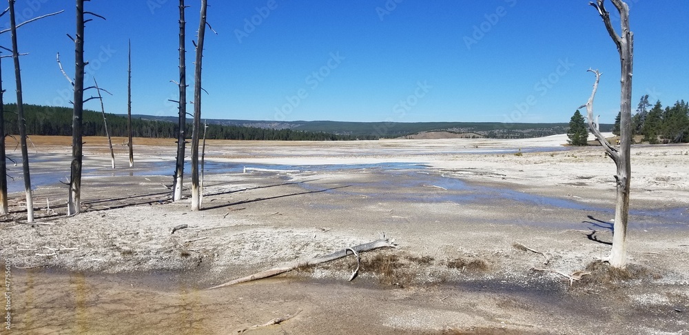 Wall mural Salt and Mineral Deposits at Yellowstone National Park, Wyoming