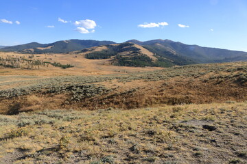 Sagebrush meadows, Yellowstone National Park, Wyoming