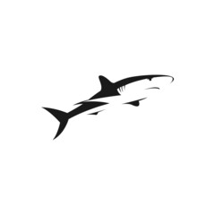 SHARK LOGO 