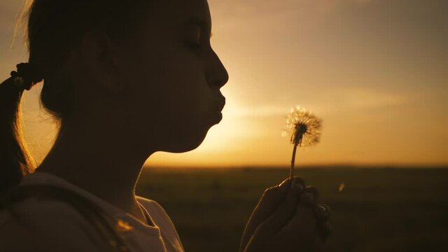 Silhouette to the pretty child girl blowing on the ripened dandelion in the evening against the background of the sunset sun.