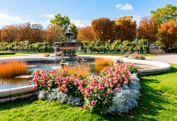 Foto op Plexiglas Dahlia flowers and fountain in Volksgarten park, Vienna, Austria © Mistervlad