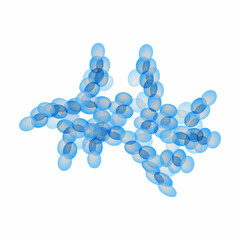 C. guilliermondii candida. Pathogenic yeast-like fungi of the Candida type morphological structure. Vector illustration © timonina