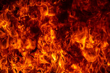 Fire flames on black background. Fire burn flame isolated, abstract texture. Flaming effect with burning fire.