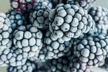 frozen frosly look blackberries closeup