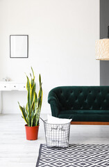 Green sofa, basket with pillows and houseplant in living room